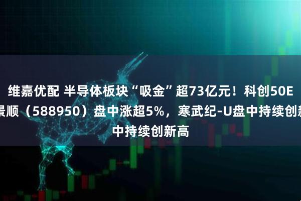 维嘉优配 半导体板块“吸金”超73亿元！科创50ETF景顺（588950）盘中涨超5%，寒武纪-U盘中持续创新高
