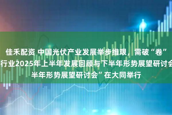 佳禾配资 中国光伏产业发展举步维艰，需破“卷”成蝶——“光伏行业2025年上半年发展回顾与下半年形势展望研讨会”在大同举行