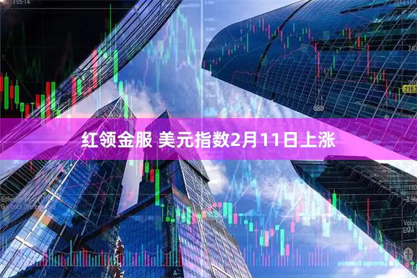 红领金服 美元指数2月11日上涨