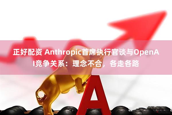 正好配资 Anthropic首席执行官谈与OpenAI竞争关系：理念不合，各走各路